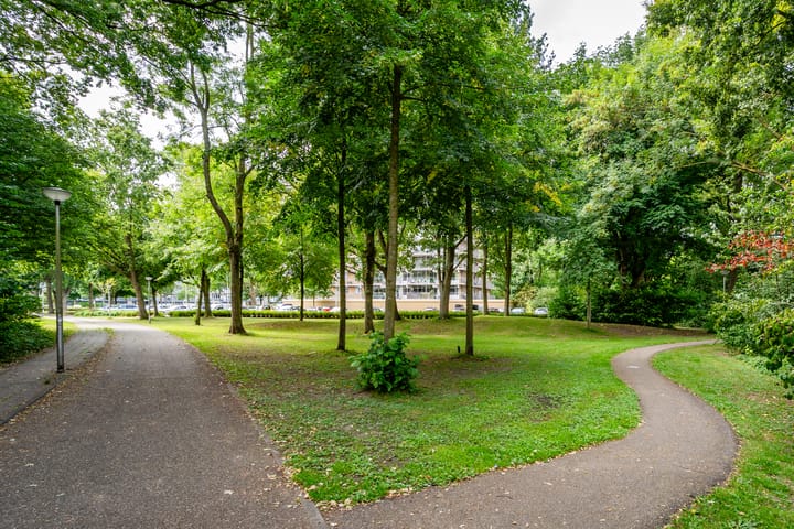 Foto 28 van Lupinesingel 190