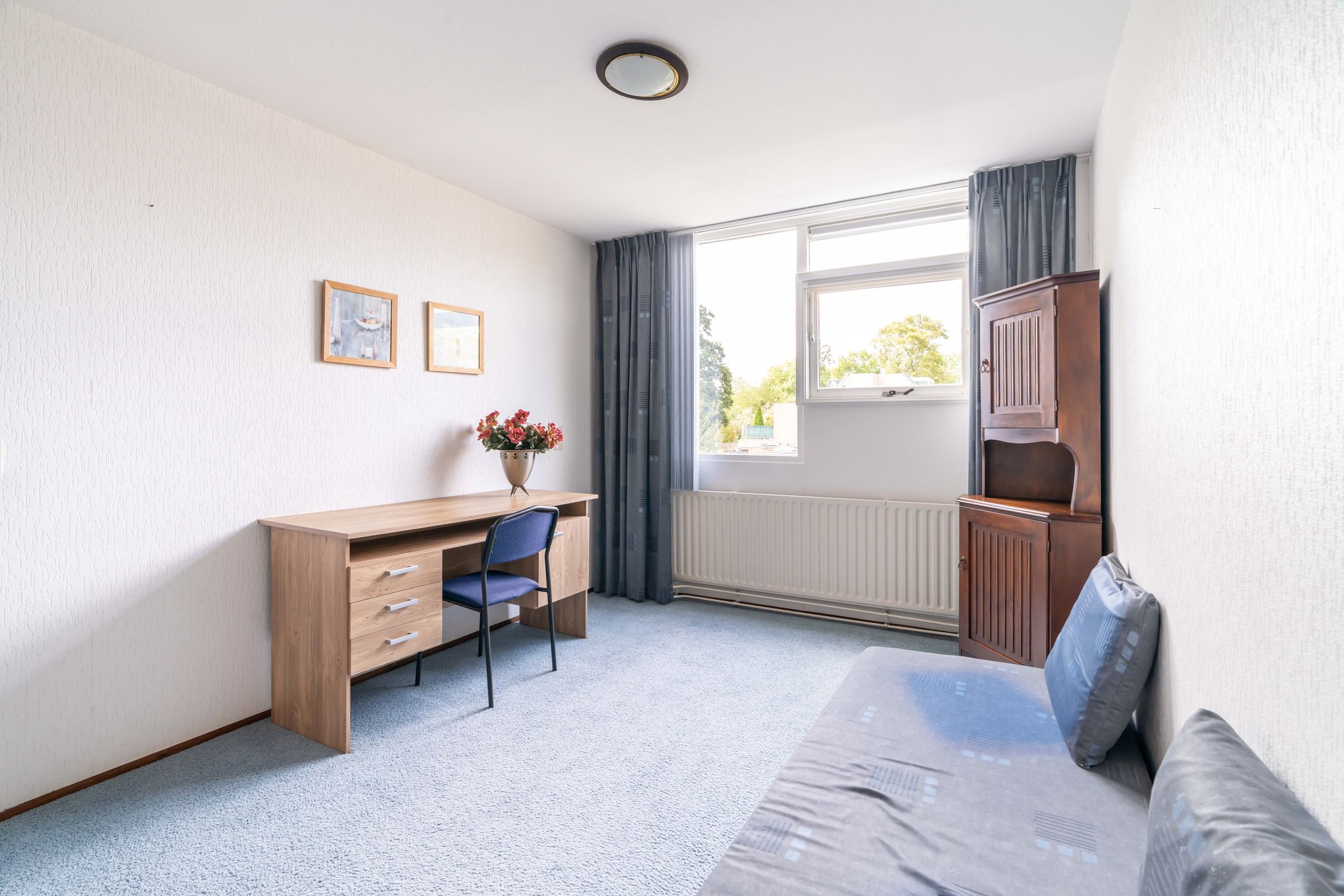 Foto 27 van Krekelpad 20