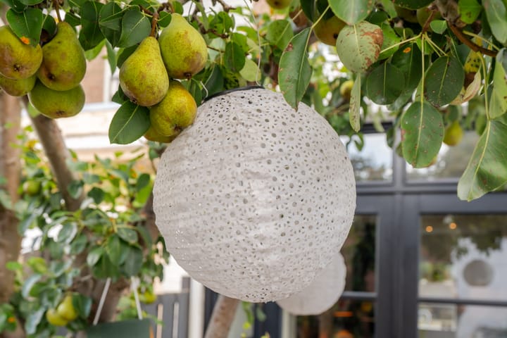 Foto 12 van Hubert Duyfhuysstraat 33