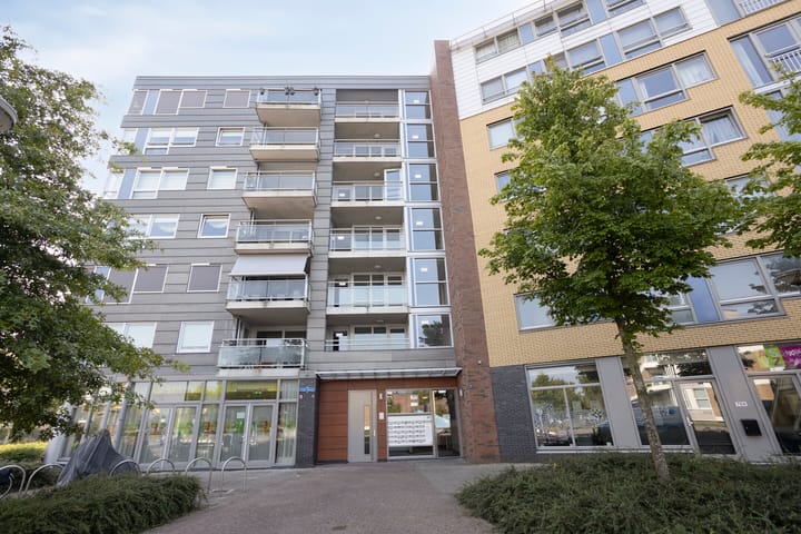 Foto 20 van Nieuwe Damlaan 766