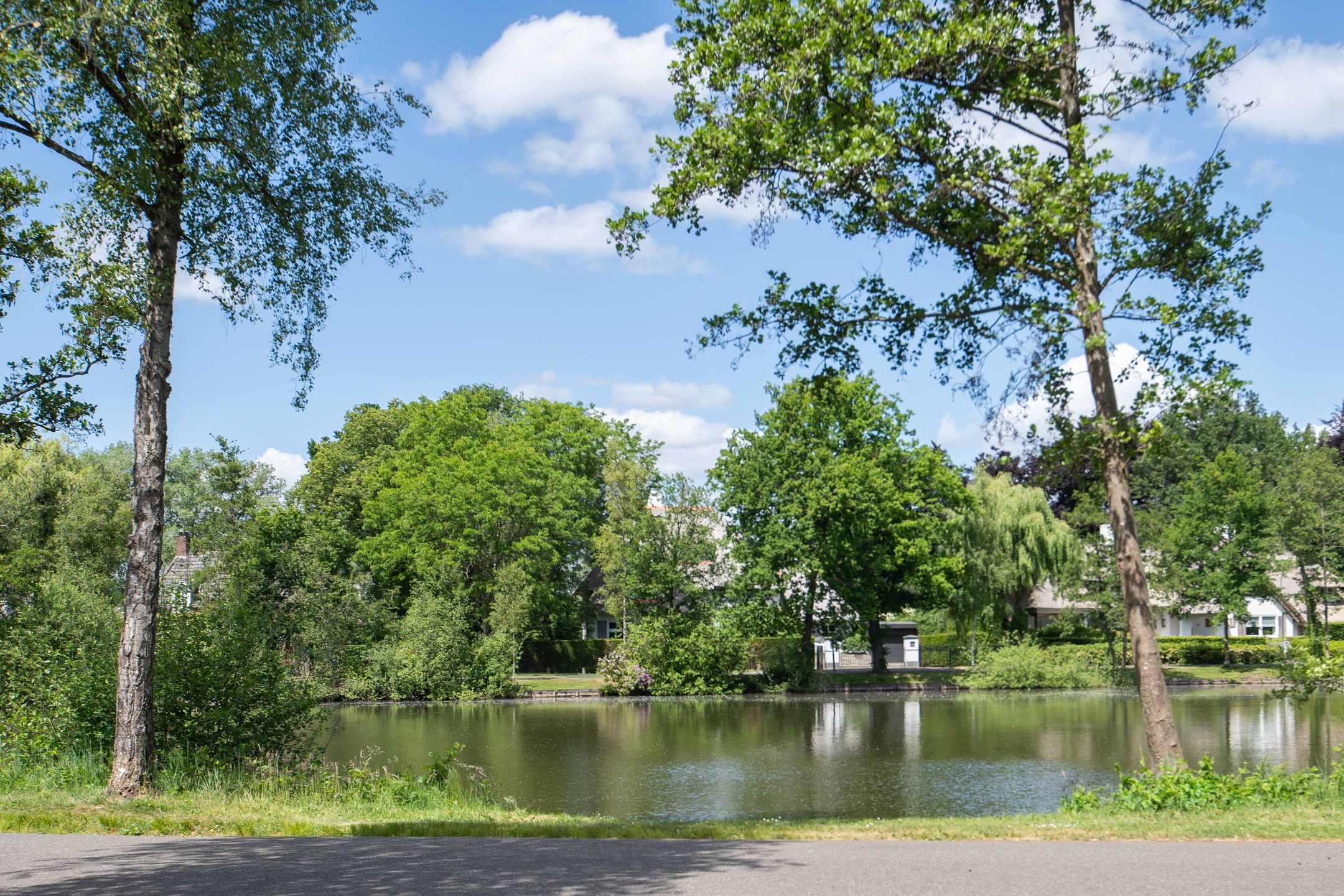 Foto 9 van Klompven 26-M