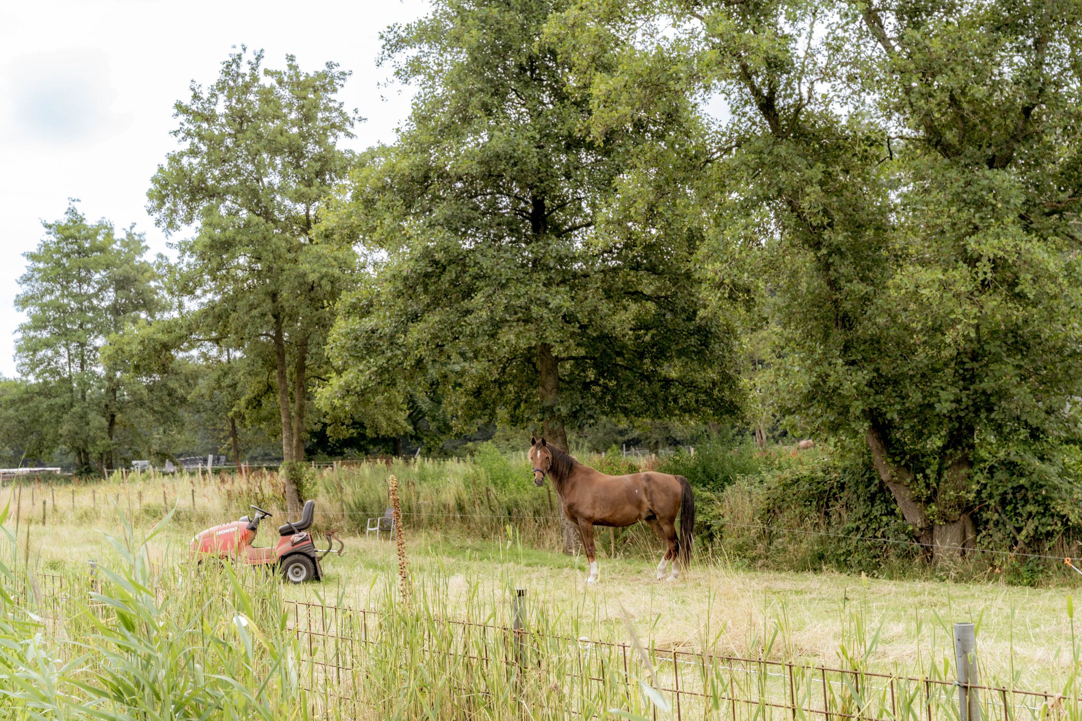 Photo 3 of Gooiergracht 109