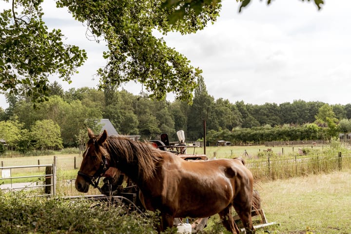 Foto 44 van Gooiergracht 109