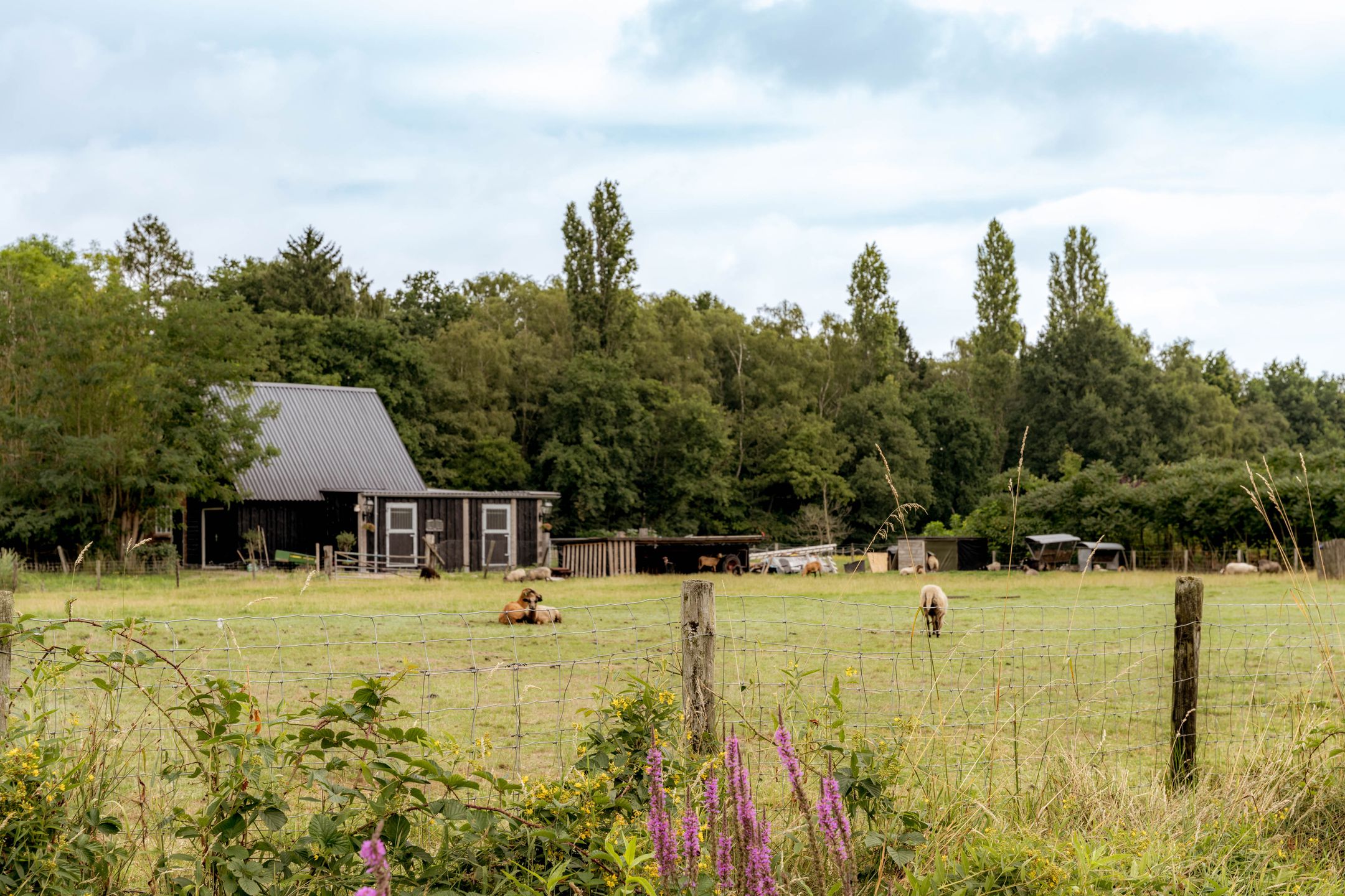 Photo 45 of Gooiergracht 109