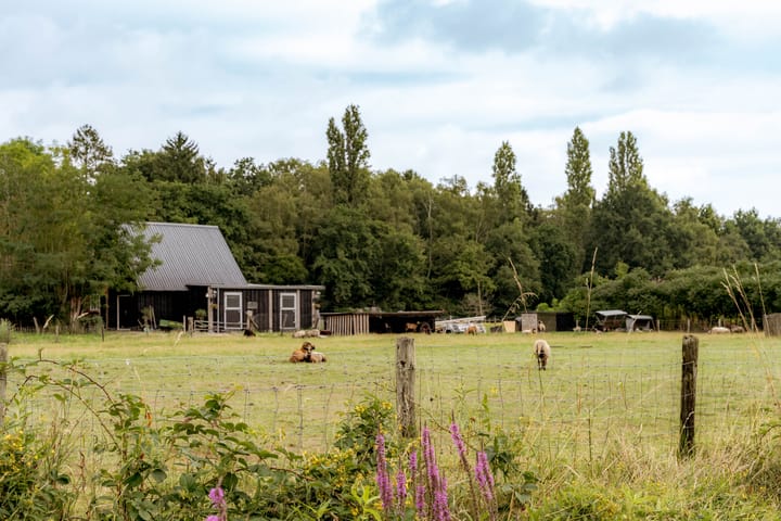 Foto 45 van Gooiergracht 109