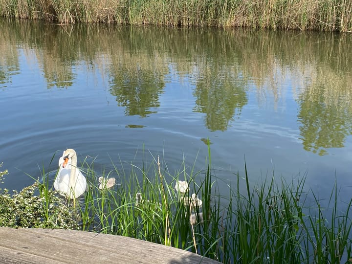 Foto 26 van Berlageplan 71