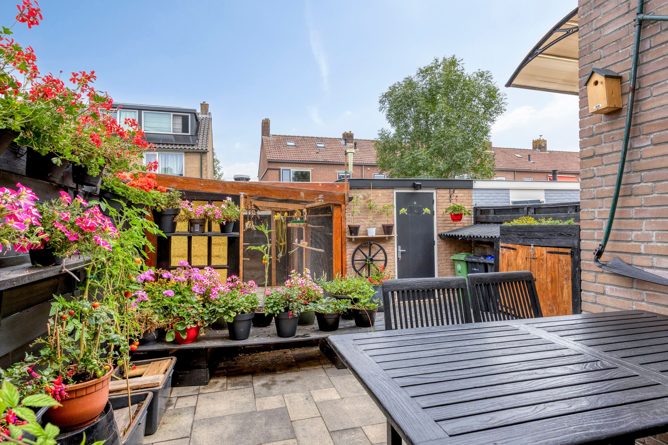 Foto 21 van Frans Halsstraat 33