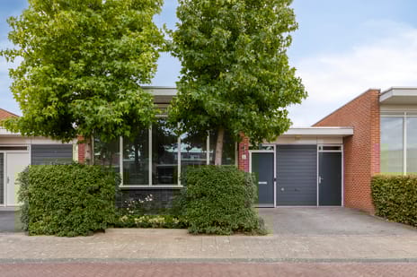 undefined main image