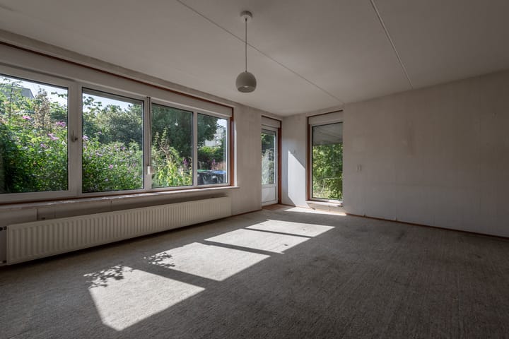 Foto 3 van Wortelakker 2