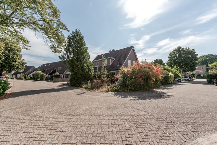 Foto 5 van Wortelakker 2