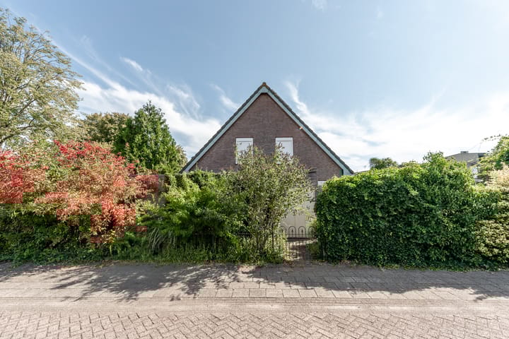 Foto 6 van Wortelakker 2