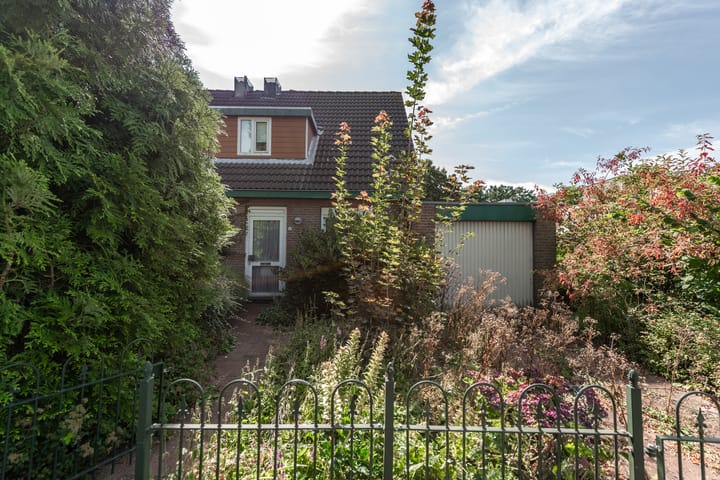 Foto 7 van Wortelakker 2