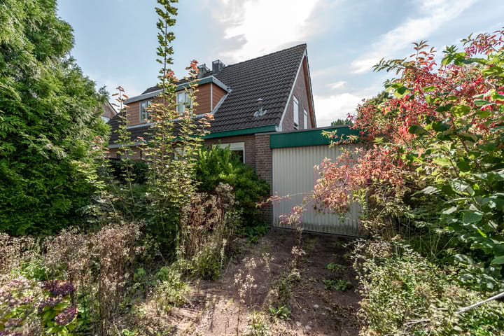 Foto 8 van Wortelakker 2