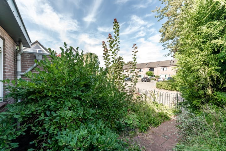 Foto 9 van Wortelakker 2