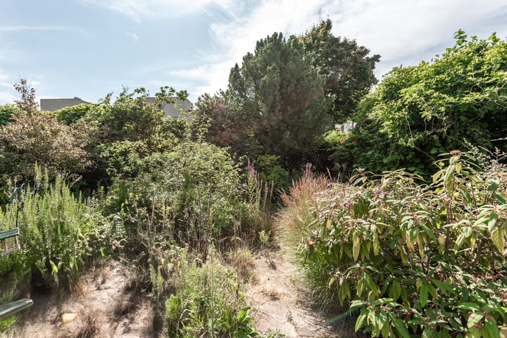 Foto 25 van Wortelakker 2