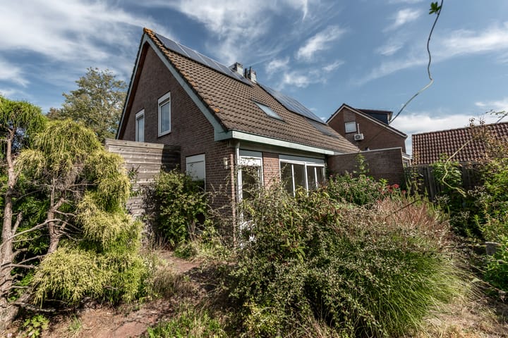 Foto 26 van Wortelakker 2