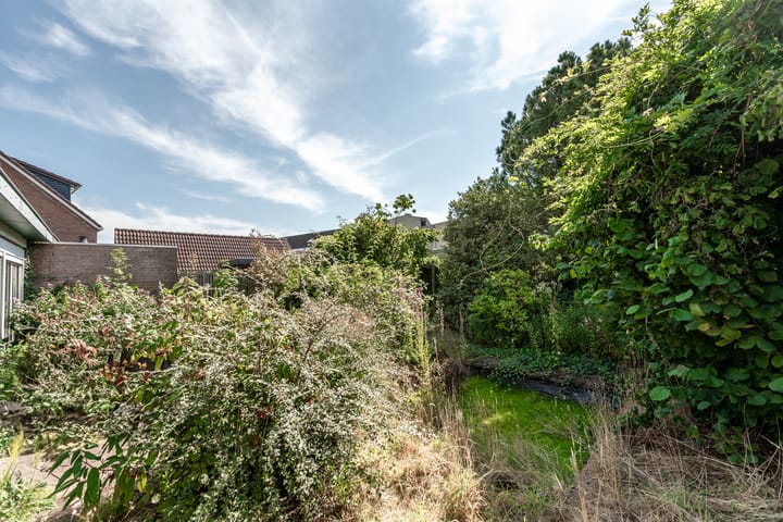 Foto 27 van Wortelakker 2