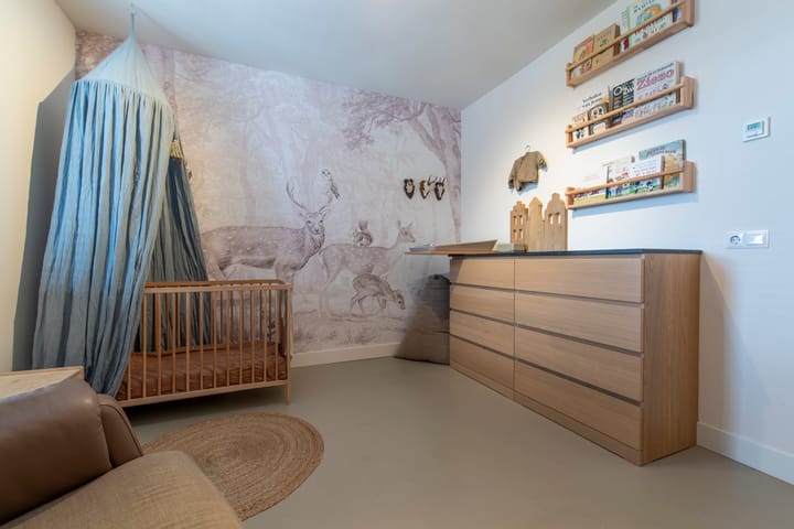 Foto 20 van Lodewijk van Nassaustraat 11