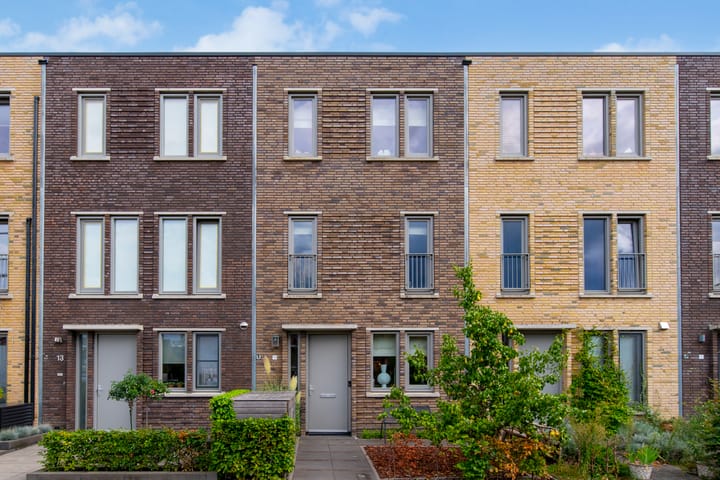 Foto 50 van Lodewijk van Nassaustraat 11