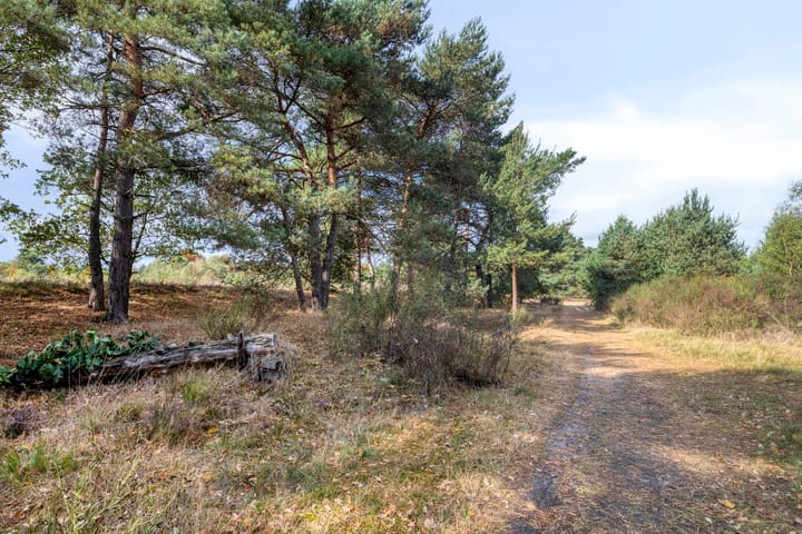 Foto 41 van Wijboschstraat 22