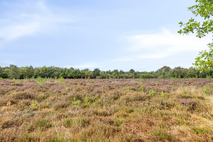 Foto 42 van Wijboschstraat 22