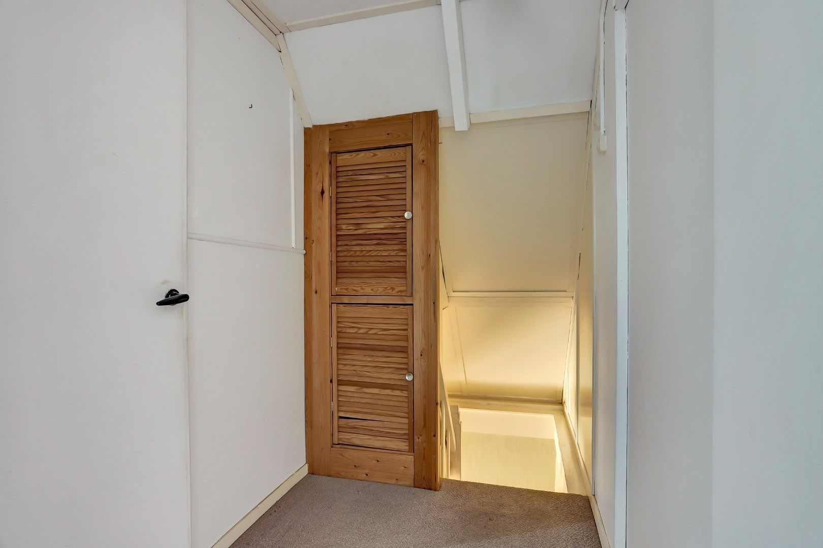 Foto 24 van Kadal 10