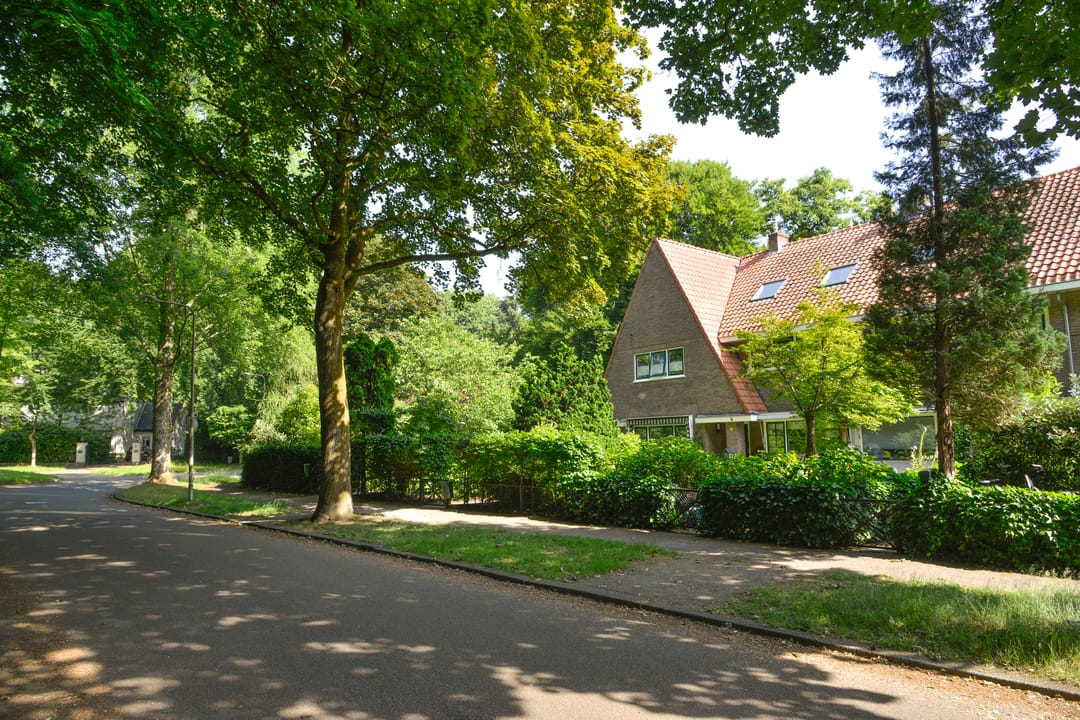 Foto 7 van Louise de Colignyplein 2