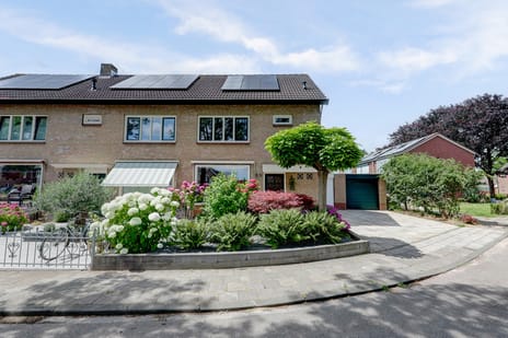 undefined main image