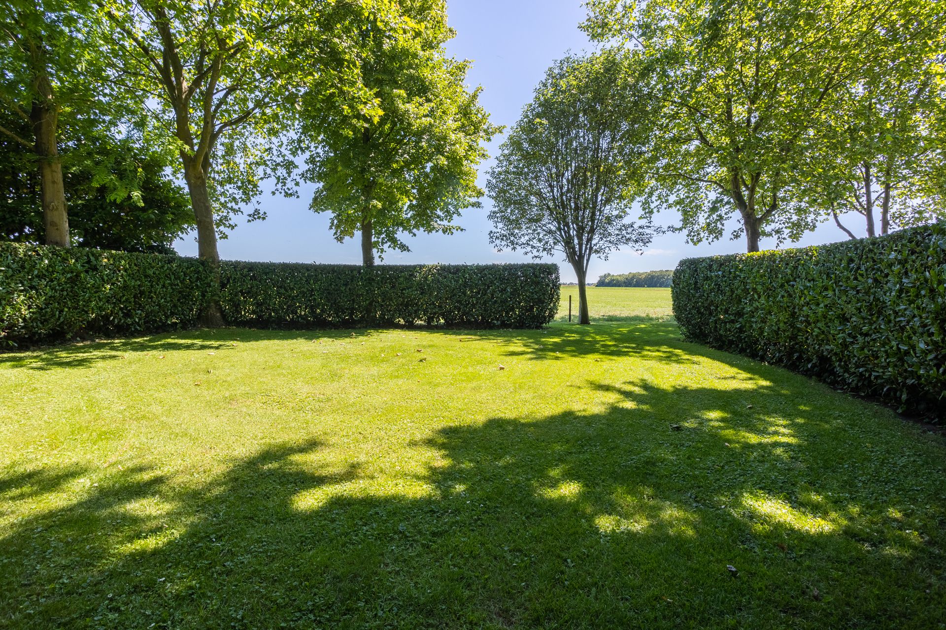 Foto 93 van Westerhuizingerweg 16