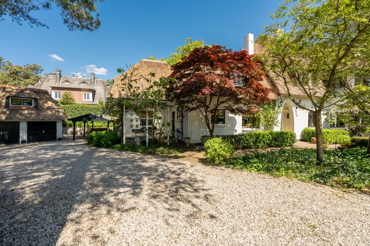 Foto 54 van Tetterodeweg 9