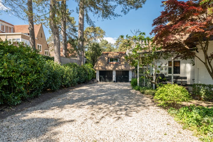 Foto 55 van Tetterodeweg 9