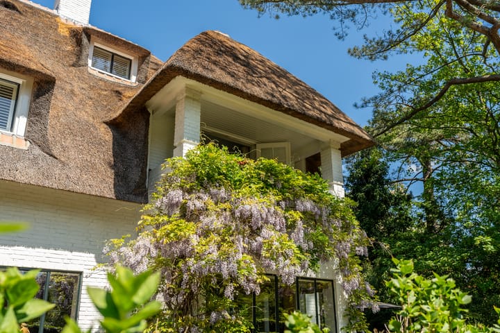 Foto 77 van Tetterodeweg 9