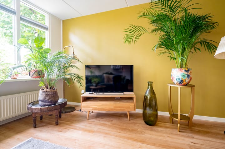 Foto 5 van Brinklaan 384