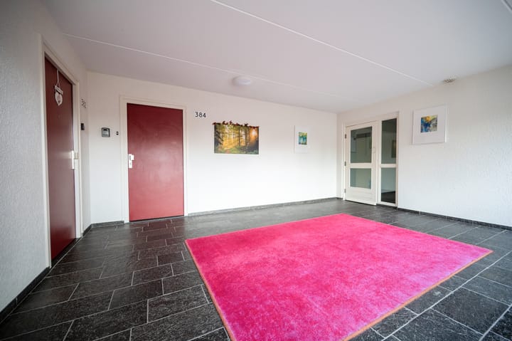 Foto 28 van Brinklaan 384