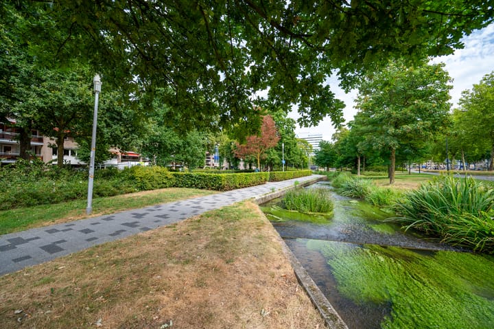 Foto 31 van Brinklaan 384