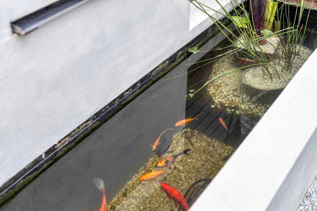 Photo 31 of Margrietstraat 31