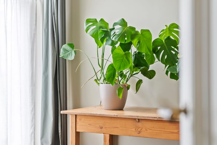 Photo 43 of Dorpsplein 8