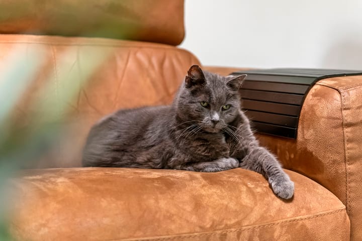 Photo 95 of Dorpsplein 8