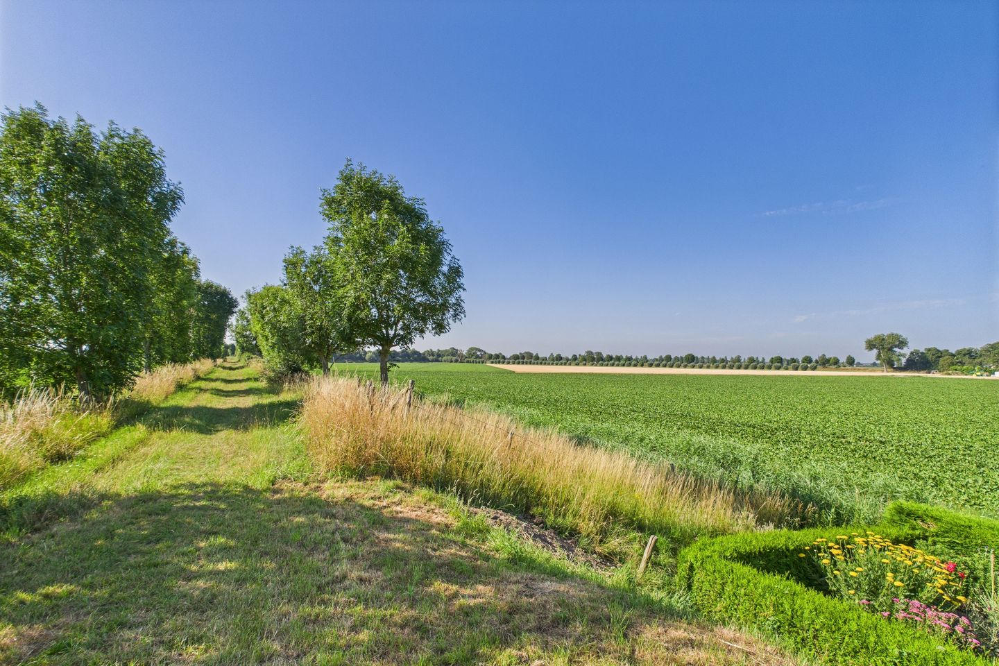 Foto 5 van Doorndijk 3