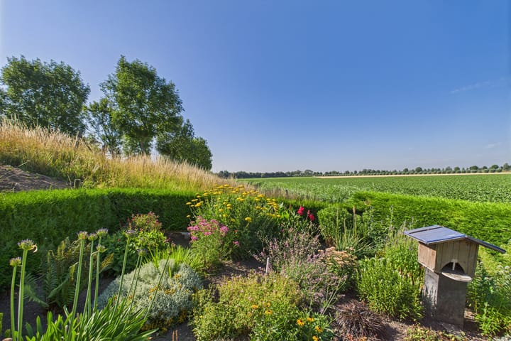 Photo 26 of Doorndijk 3