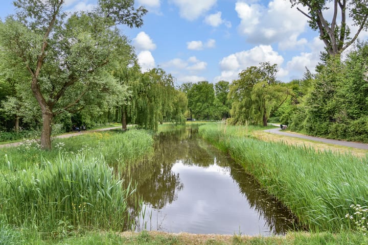 Photo 40 of Larixstraat 50