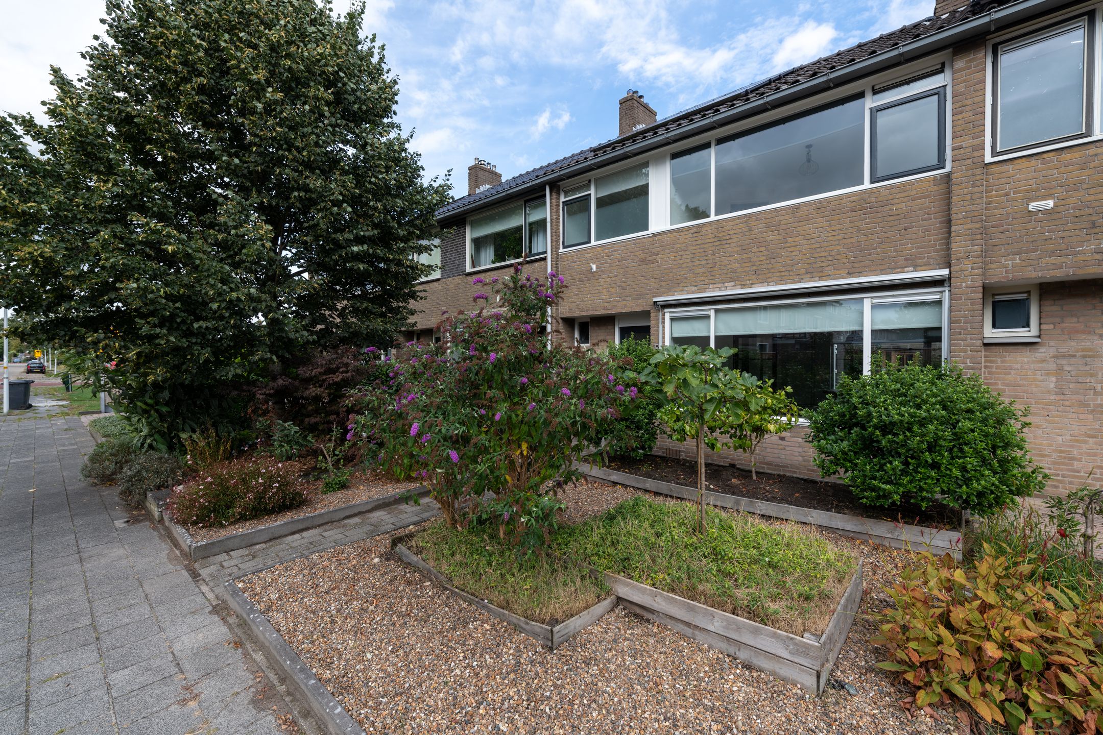 Photo 39 of De Geeuw 15