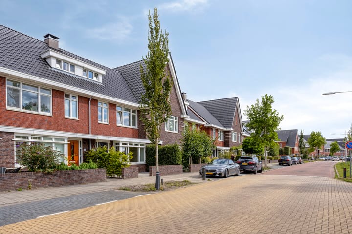 Photo 8 of Koningsspil 46