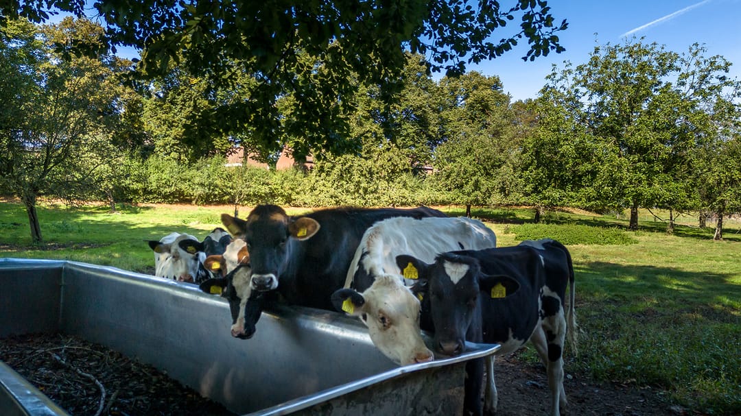 Foto 53 van Hammolenweg 7-A