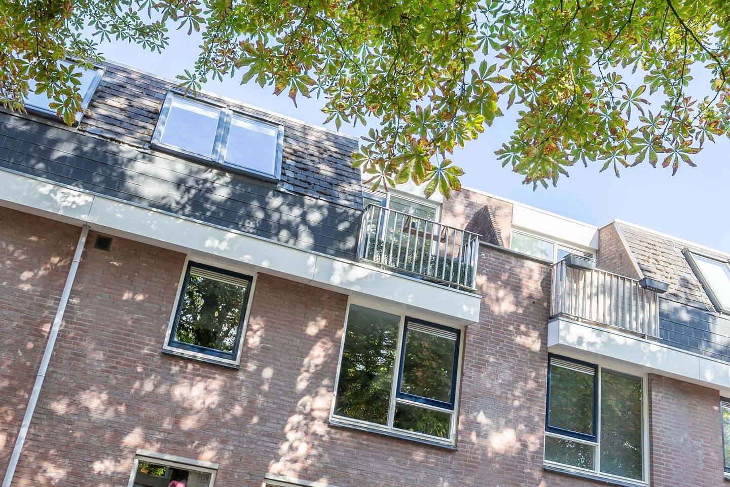 Foto 19 van Haarstraat 90