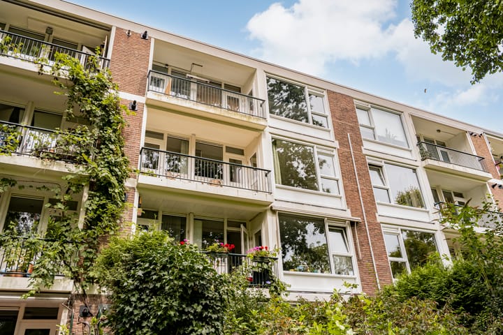 Foto 2 van Wedderborg 149