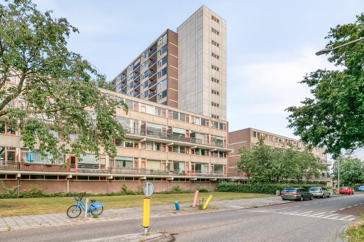 Foto 2 van Monteverdilaan 9