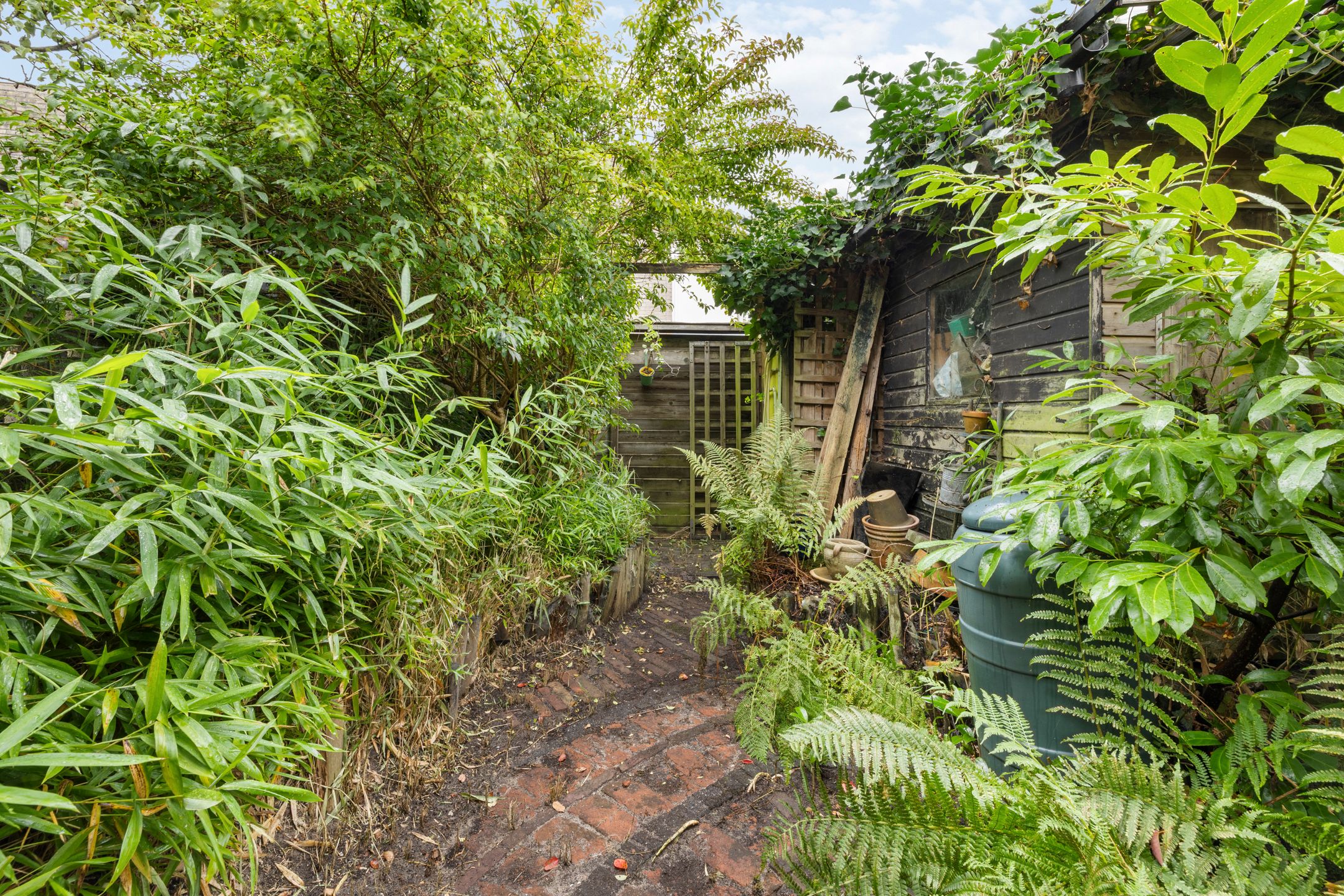 Foto 18 van Zadelstraat 22