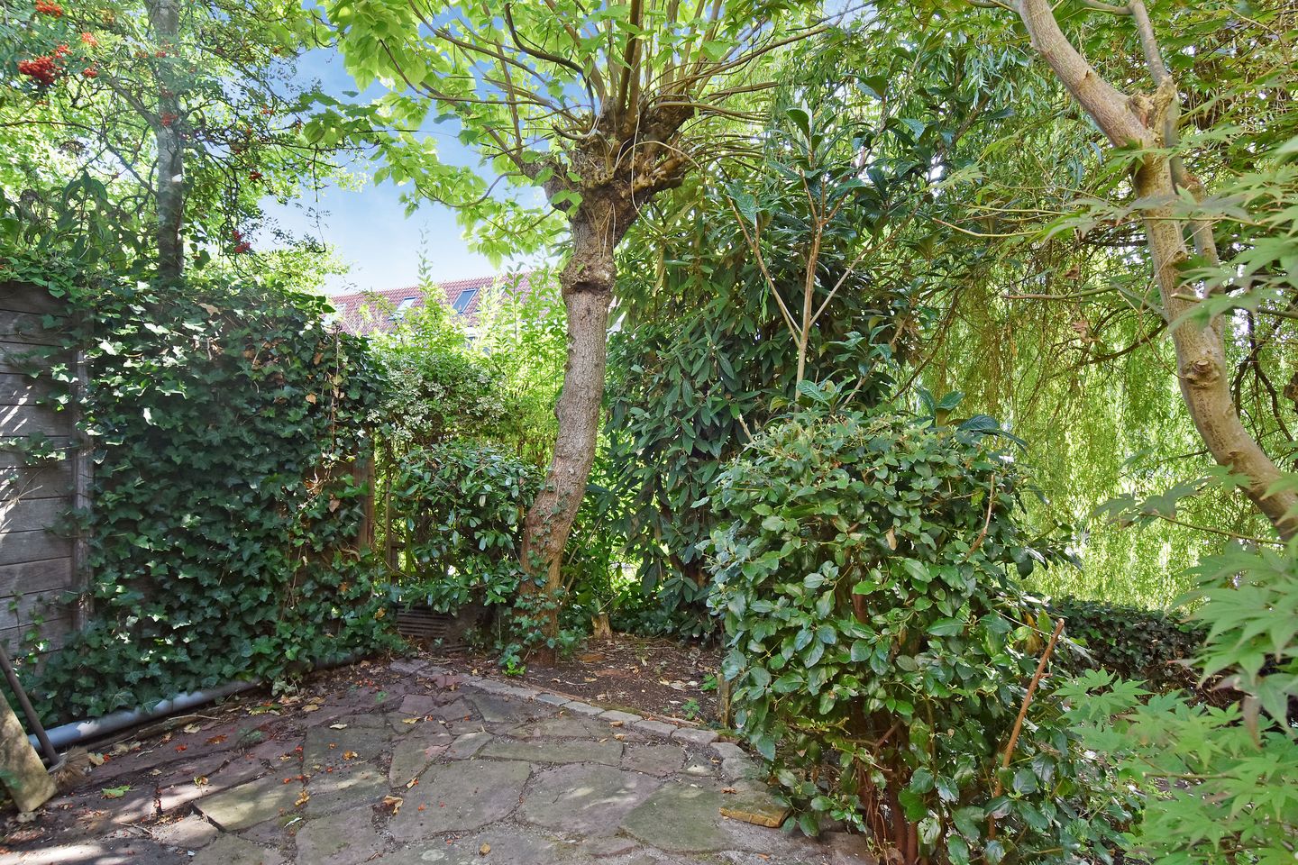 Foto 55 van Schielandweg 14