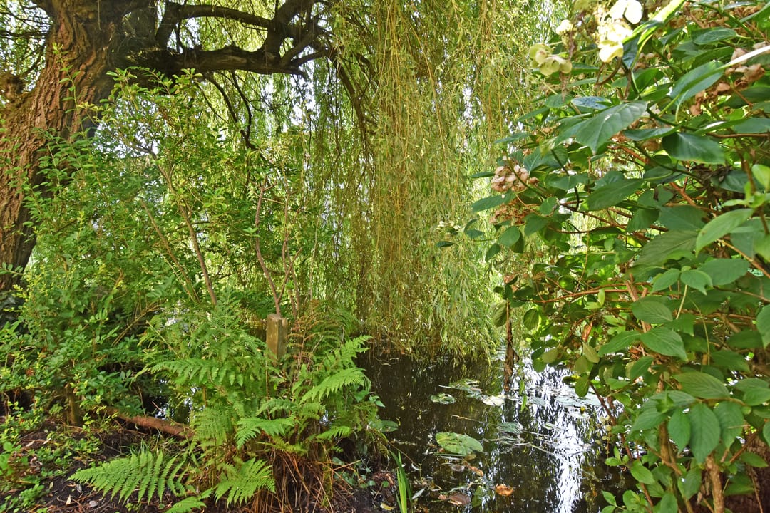 Foto 61 van Schielandweg 14